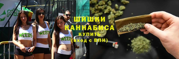 индика Инсар