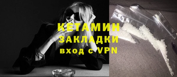 индика Инсар