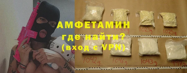 индика Инсар