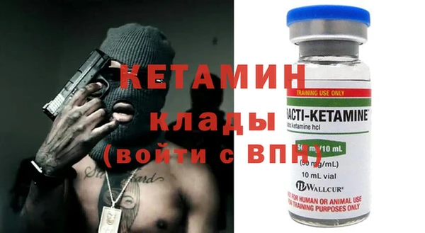 индика Инсар
