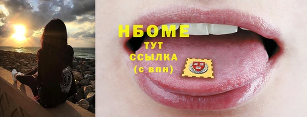 индика Инсар