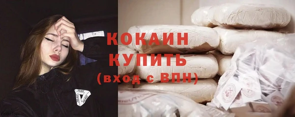 индика Инсар