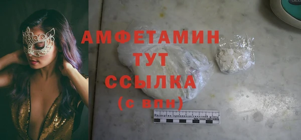 дурь Инта
