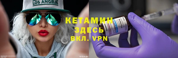 индика Инсар