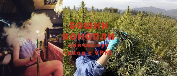 дурь Инта