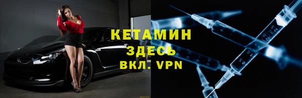 индика Инсар