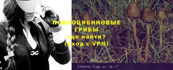 индика Инсар