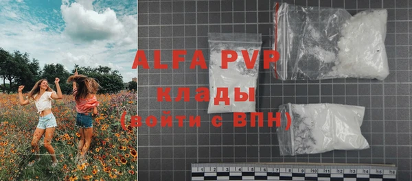 дурь Инта