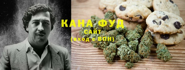 индика Инсар