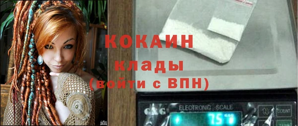 индика Инсар