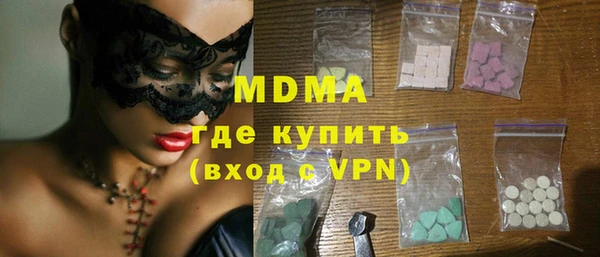 индика Инсар