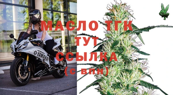 дурь Инта