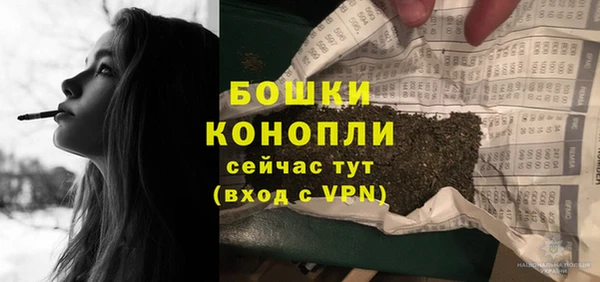 индика Инсар